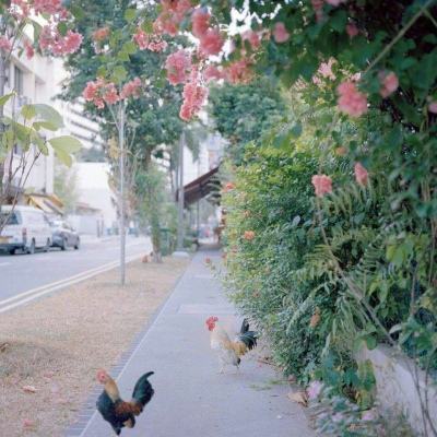 博鱼中国官网下载入口