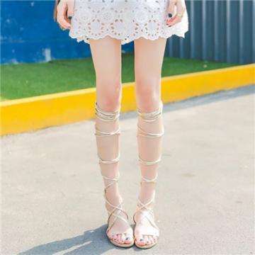 半岛·中国官方网站